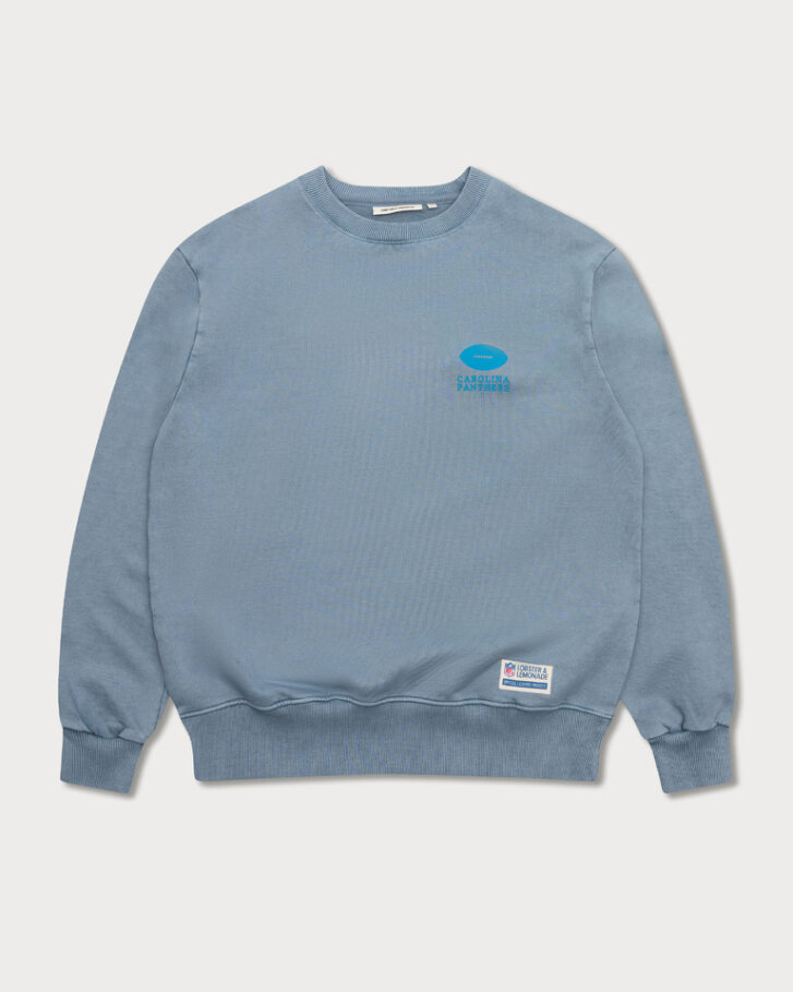 Carolina Panthers 96 Box Sweater gray