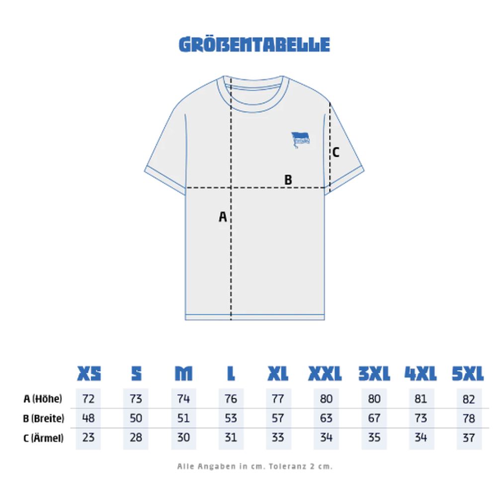 Hertha BSC Auswärtstrikot 25/26 Castore