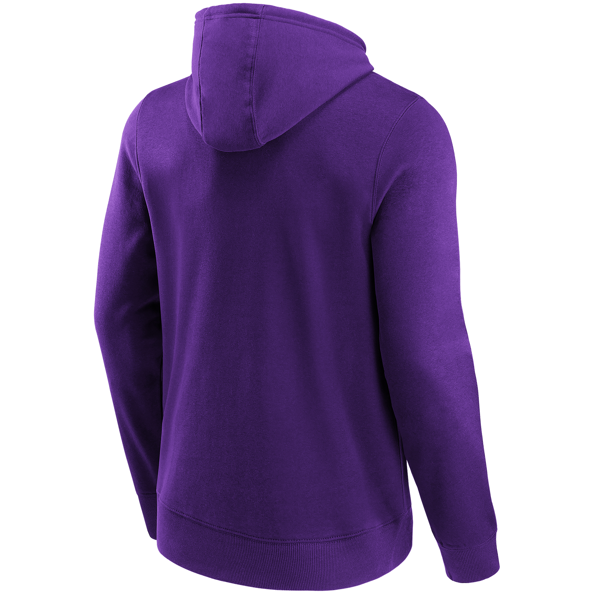 LSU Tigers Primary Logo Graphic Hoodie
