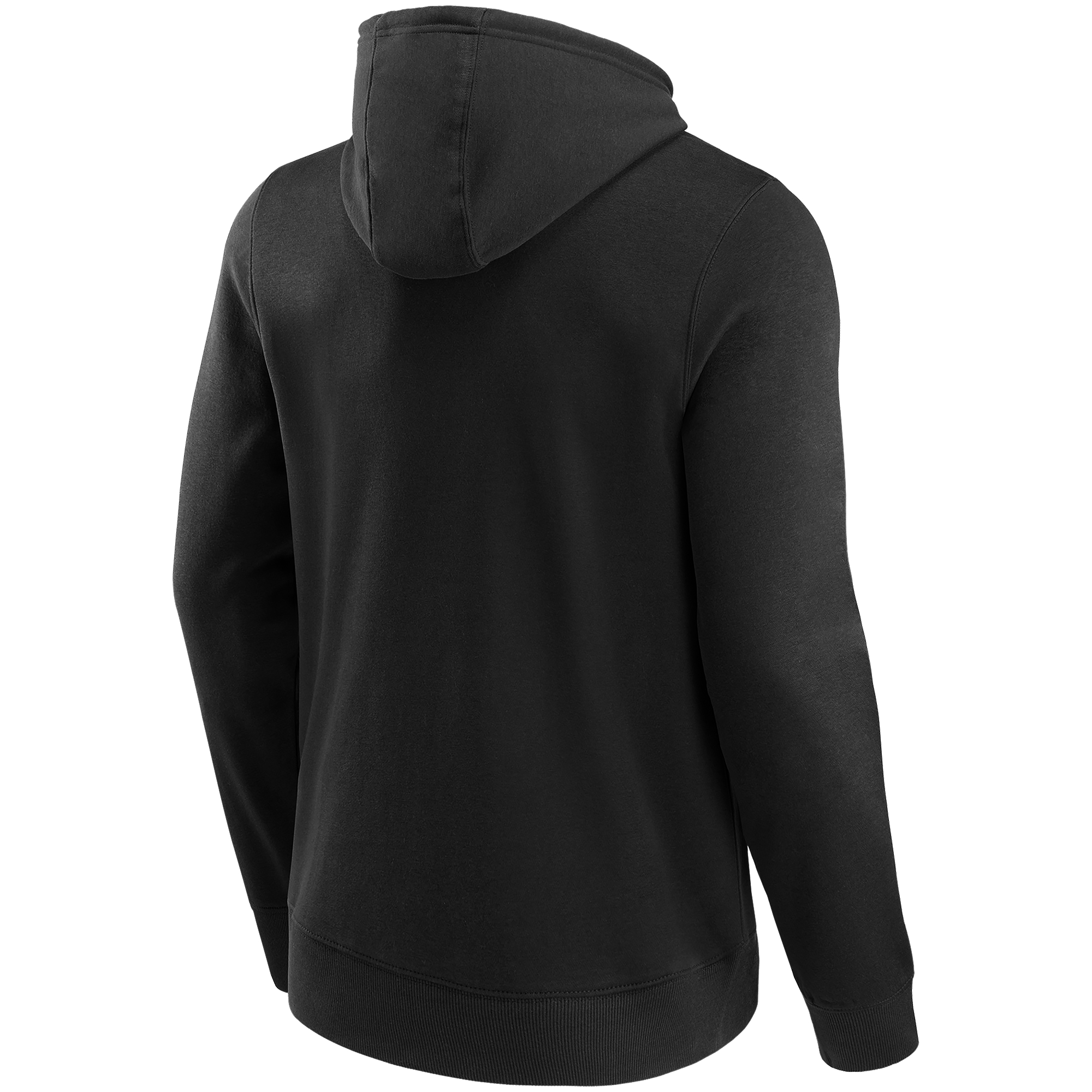 Las Vegas Raiders Primary Logo Graphic Hoodie v3