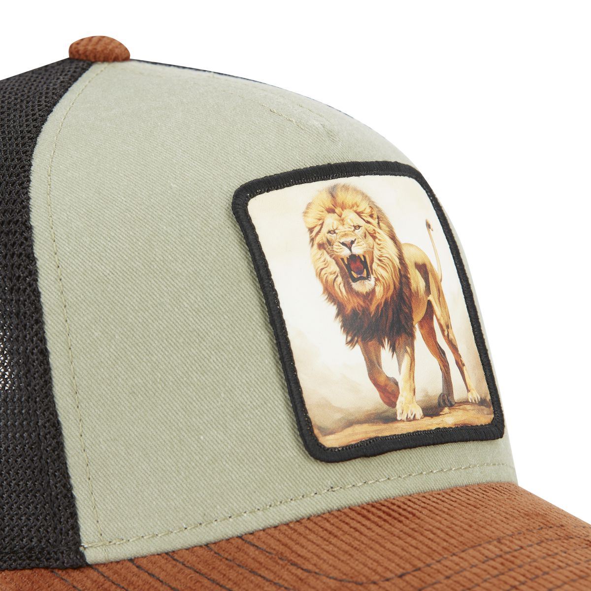 Cap LION