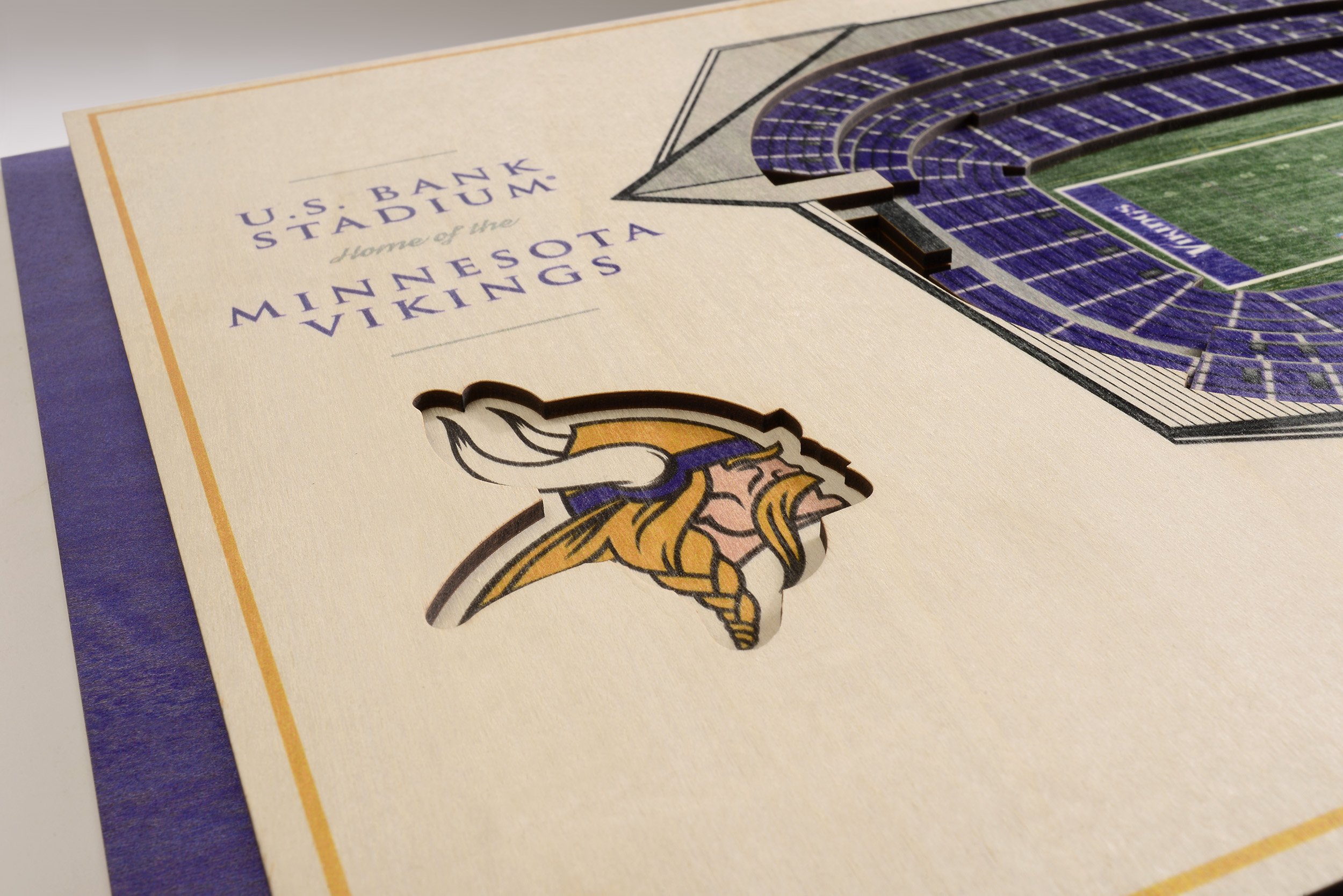 Minnesota Vikings 5-Layer 3D Stadium View