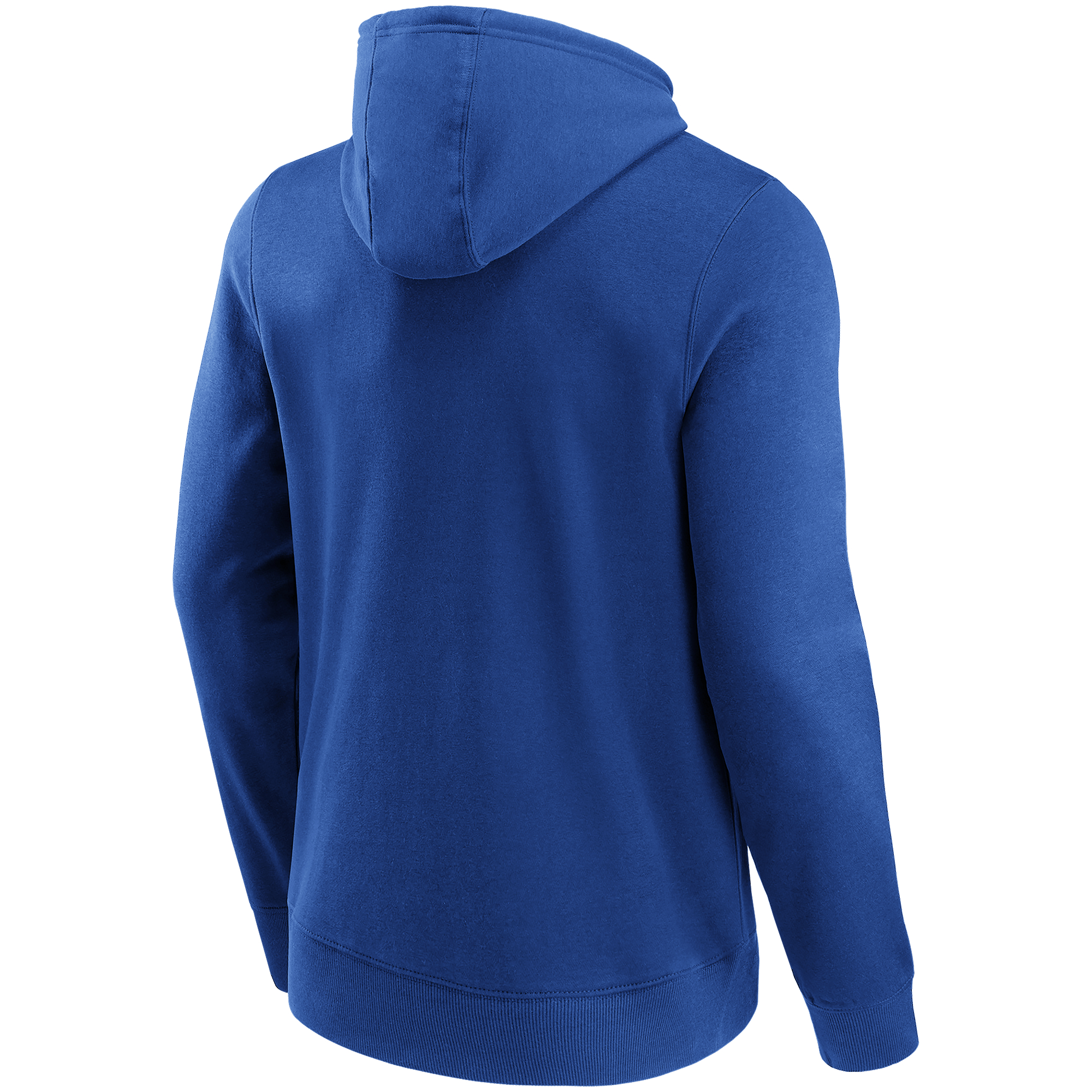 Florida Gators Primary Logo Graphic Hoodie